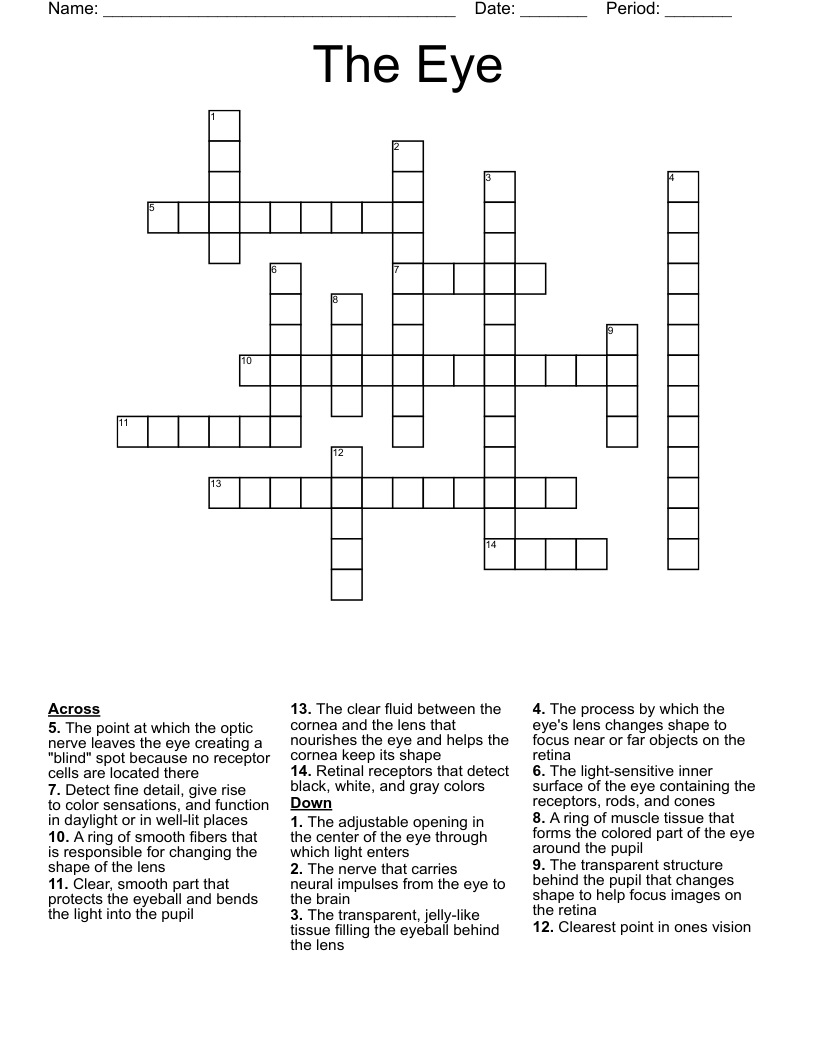 The Eye  Crossword