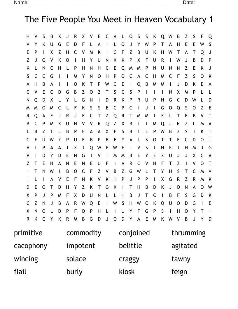 The Five People You Meet in Heaven Vocabulary 1 Word Search
