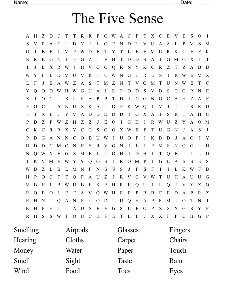 The Five Sense  Word Search