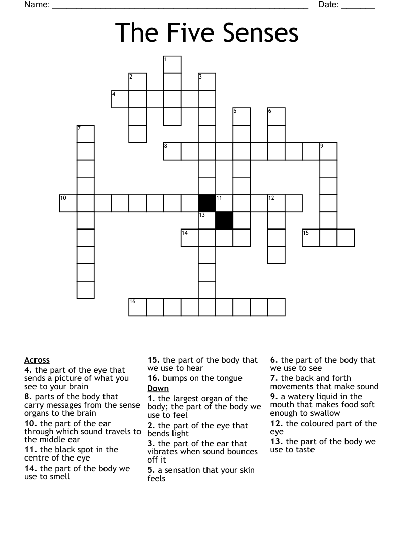 The Five Senses Crossword