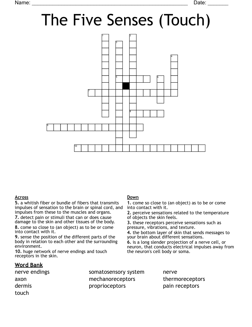 The Five Senses (Touch) Crossword