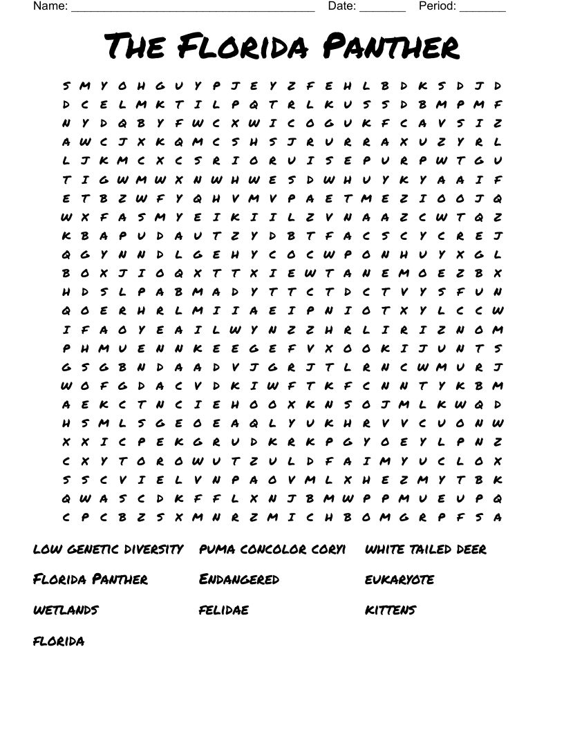 The Florida Panther Word Search