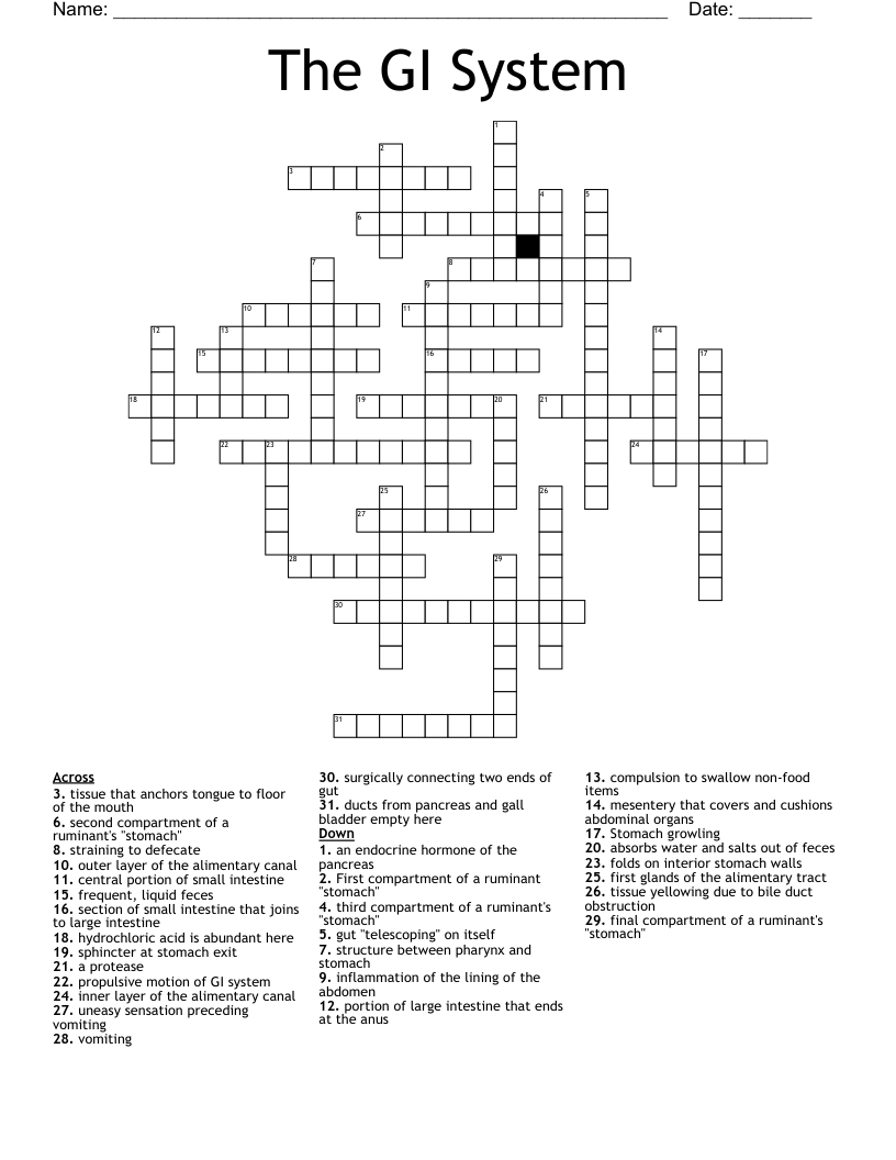 The GI System Crossword