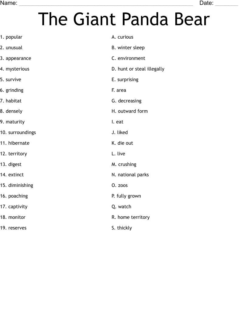 The Giant Panda Bear Worksheet