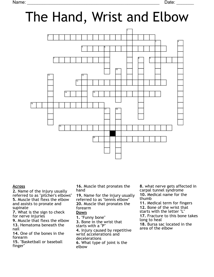 The Hand, Wrist and Elbow Crossword