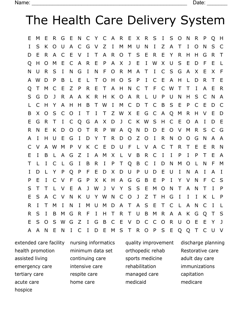 The Health Care Delivery System Word Search