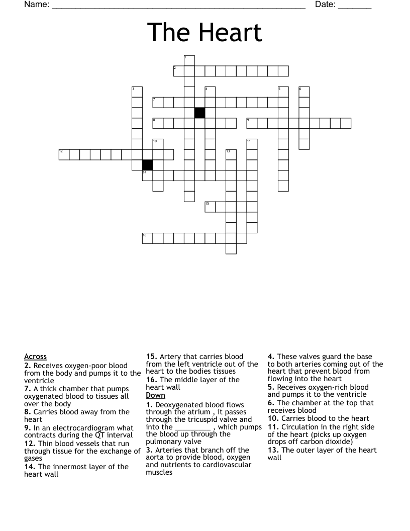 The Heart Crossword