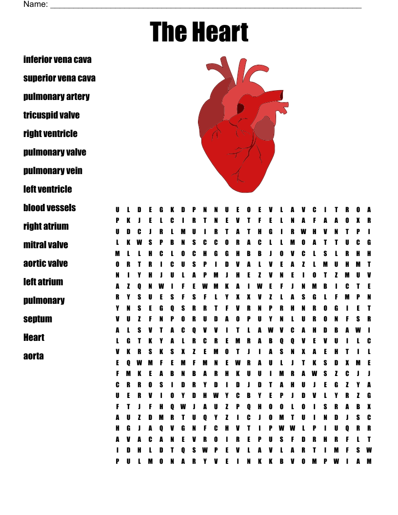 The Heart Word Search