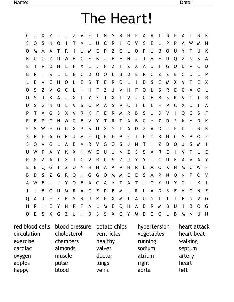 The Heart!  Word Search