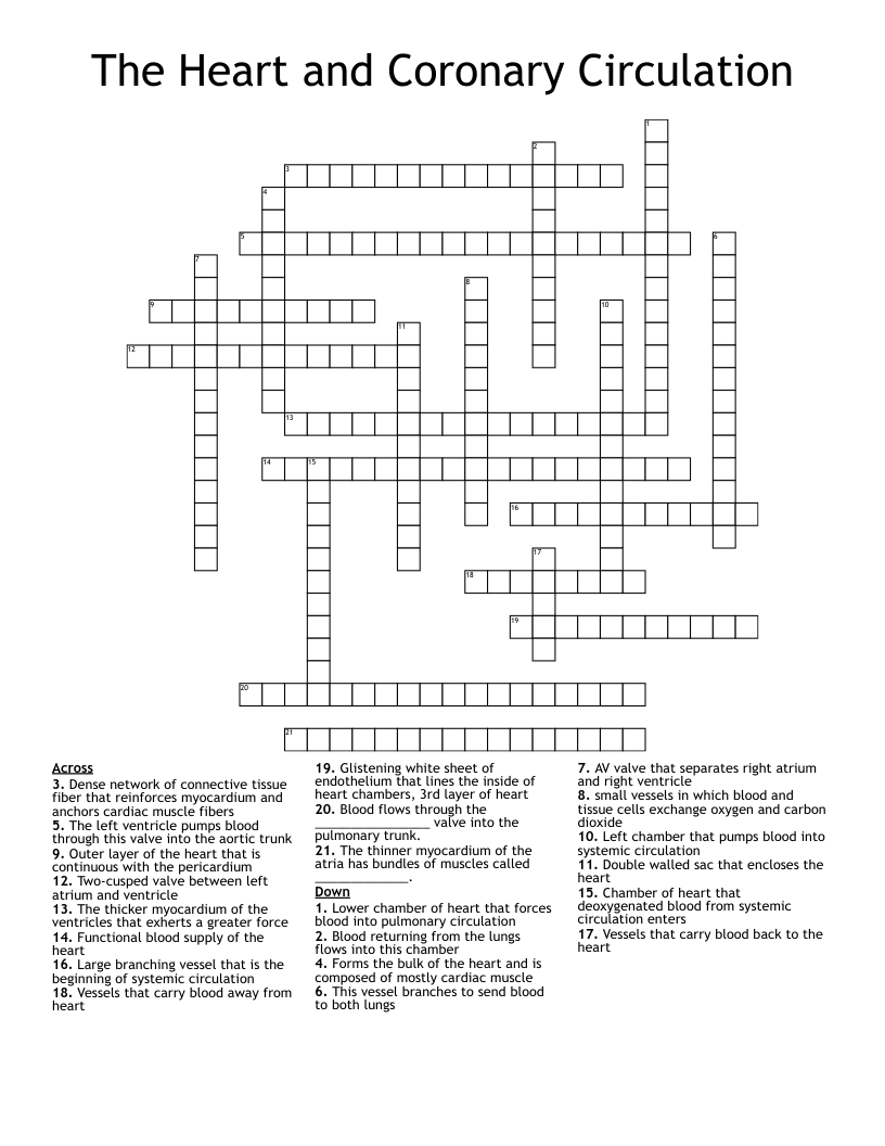 The Heart and Coronary Circulation Crossword