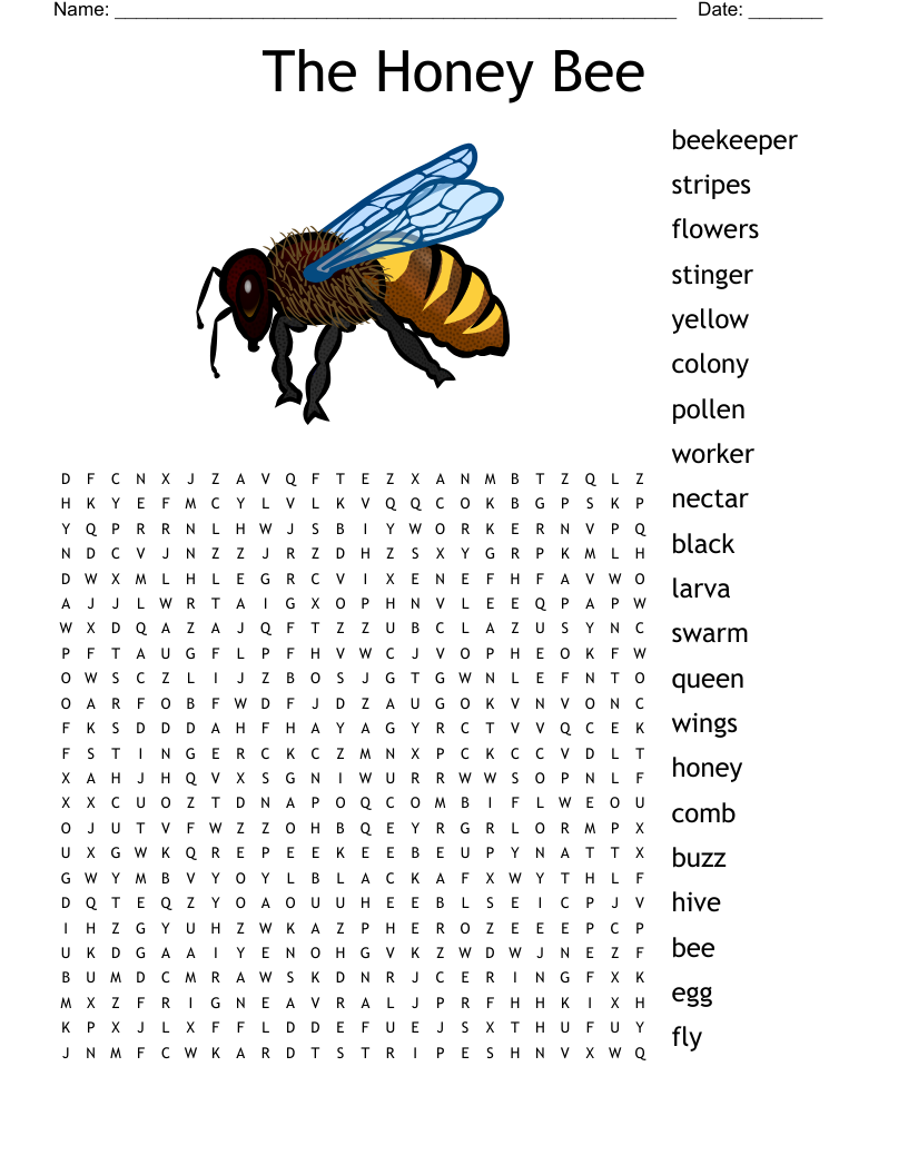 The Honey Bee  Word Search