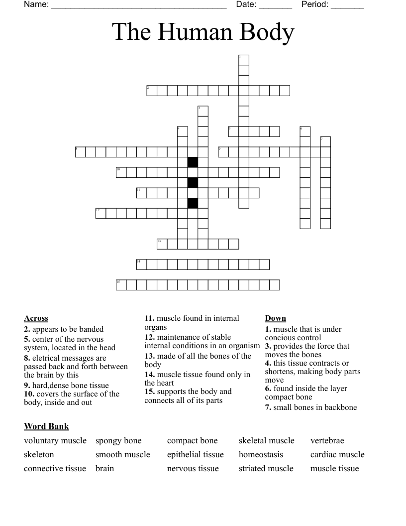 The Human Body Crossword