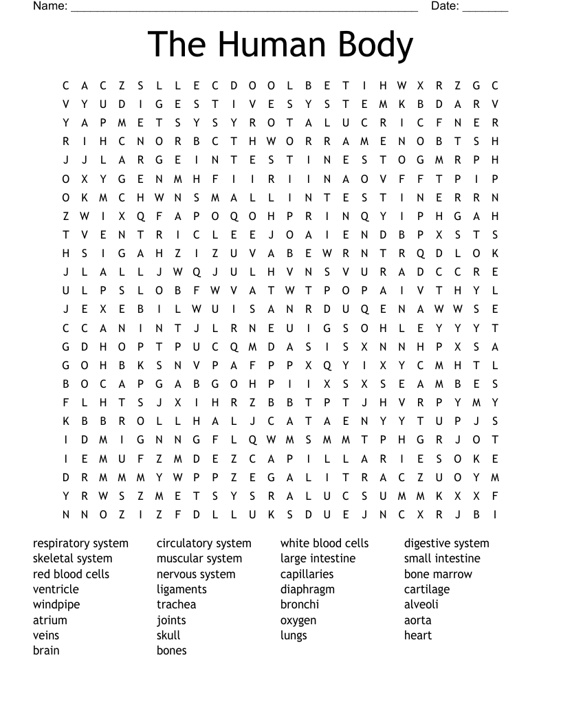 The Human Body Word Search