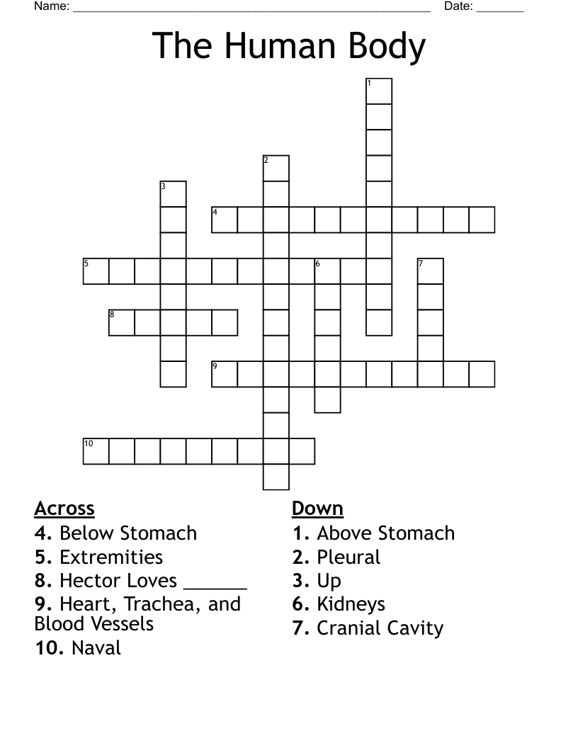 The Human Body Crossword