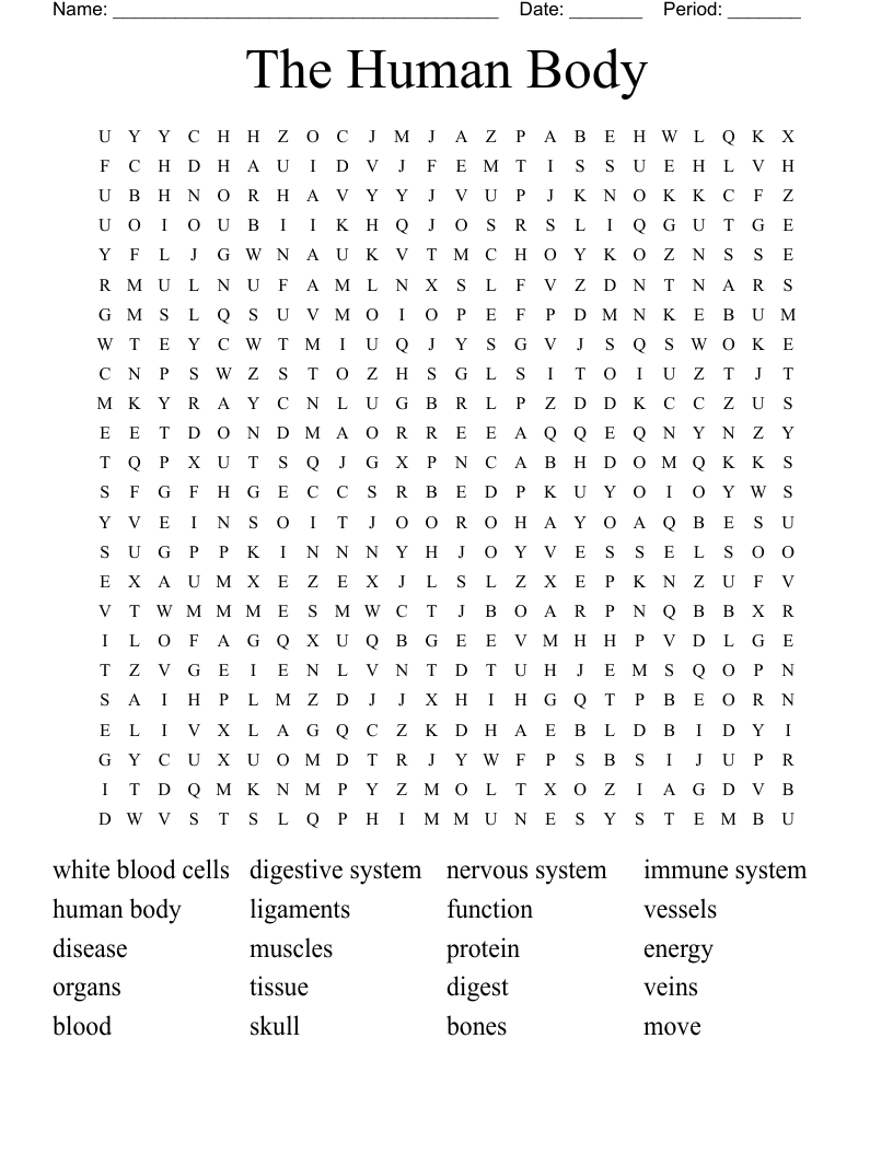 The Human Body Word Search