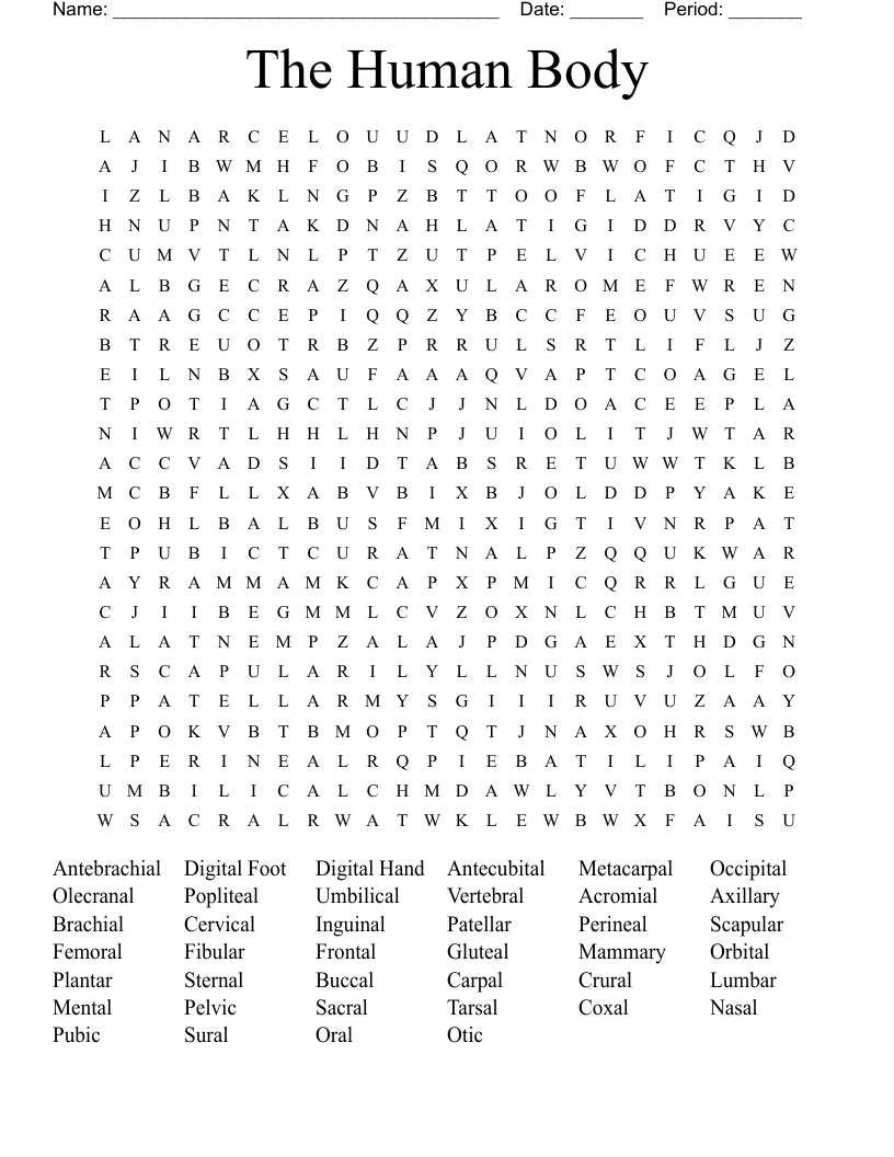 The Human Body Word Search