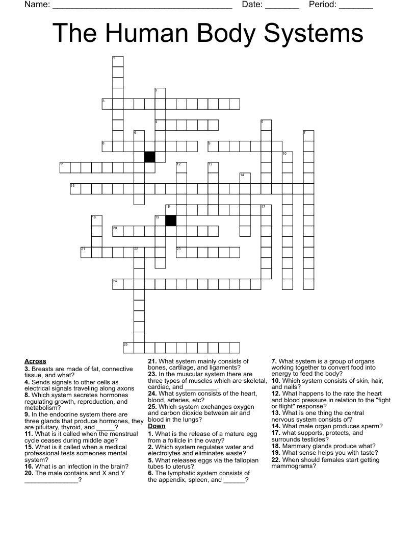 The Human Body Systems Crossword
