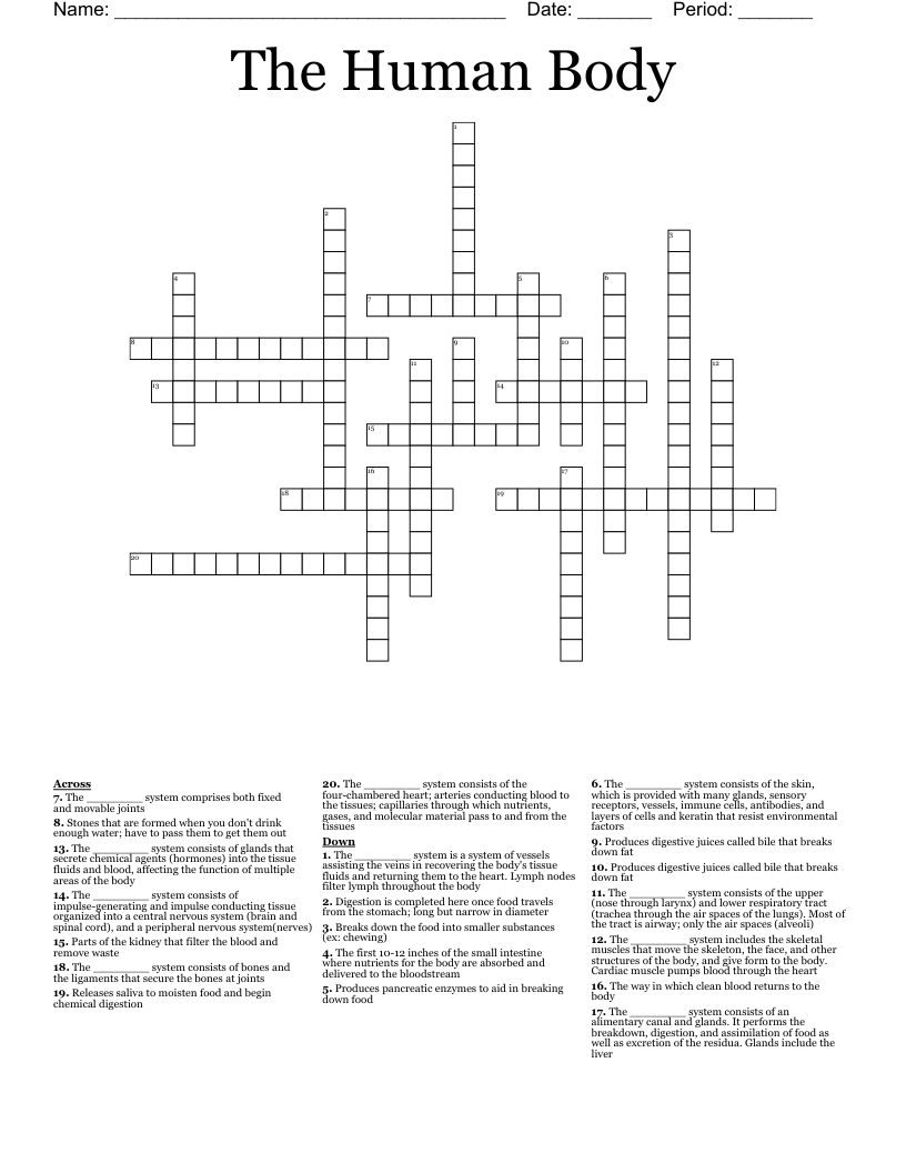 The Human Body  Crossword