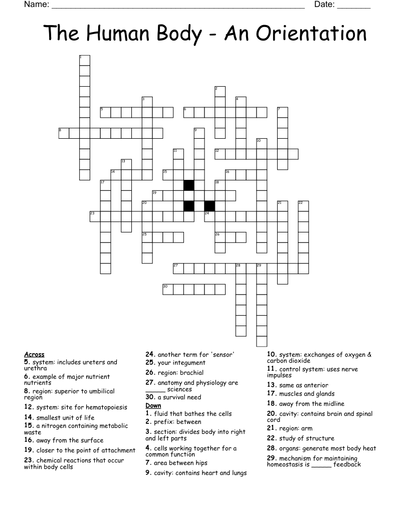 The Human Body - An Orientation Crossword