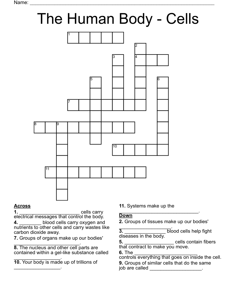 The Human Body - Cells Crossword