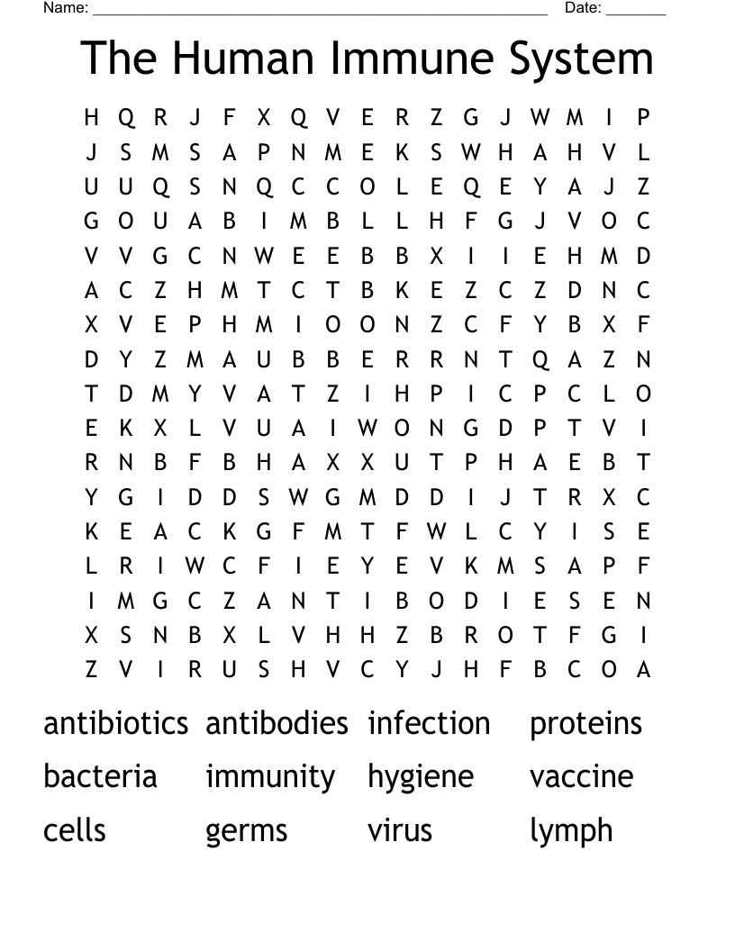 The Human Immune System Word Search