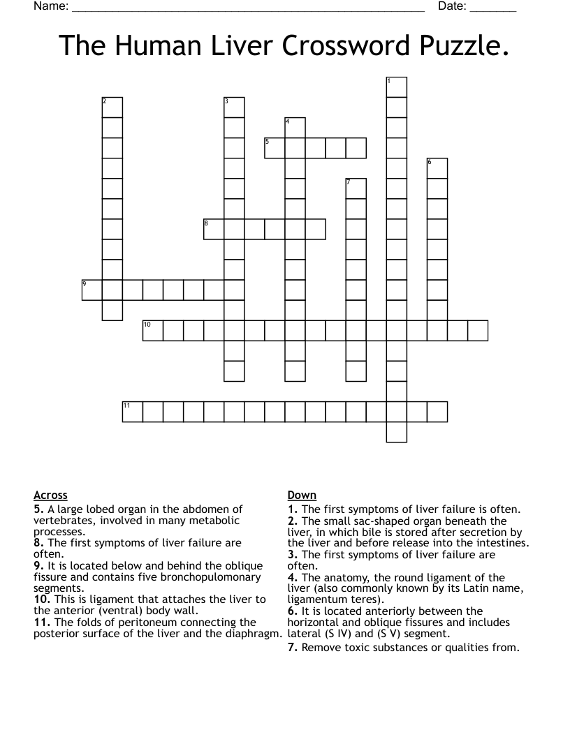 The Human Liver Crossword Puzzle.
