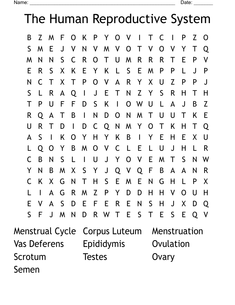 The Human Reproductive System Word Search