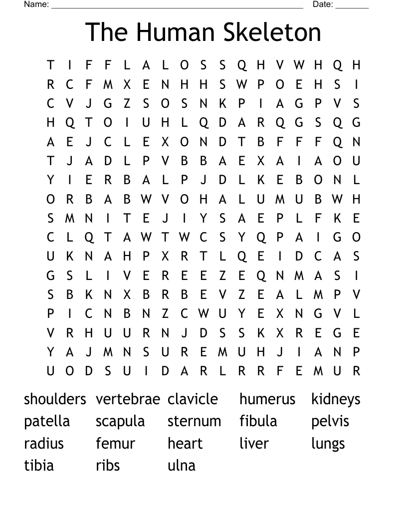 The Human Skeleton Word Search