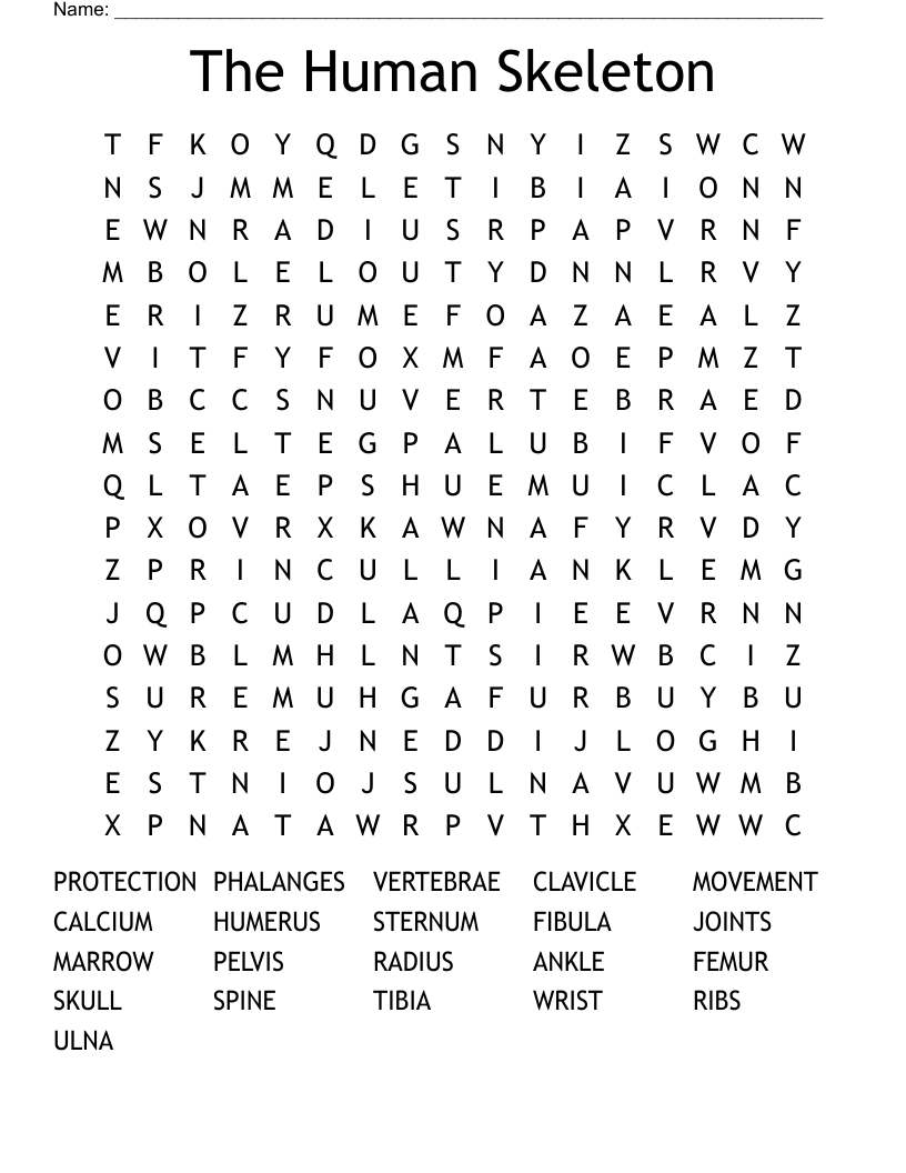 The Human Skeleton Word Search
