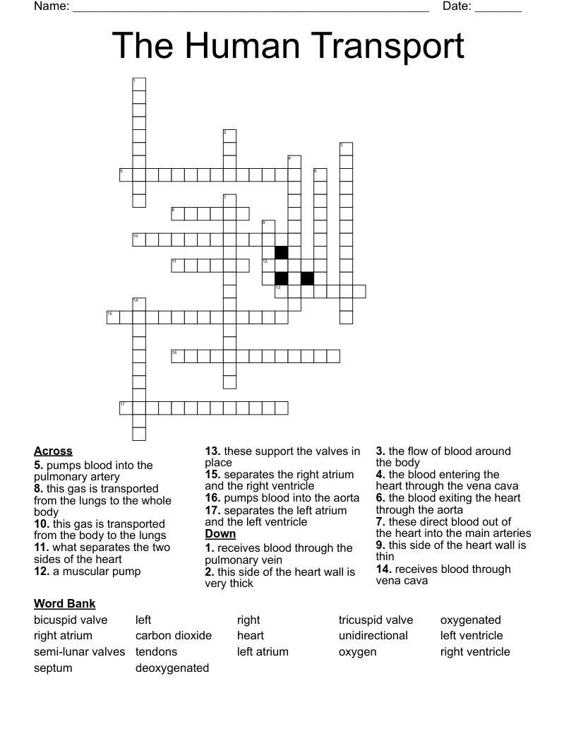 The Human Transport Crossword