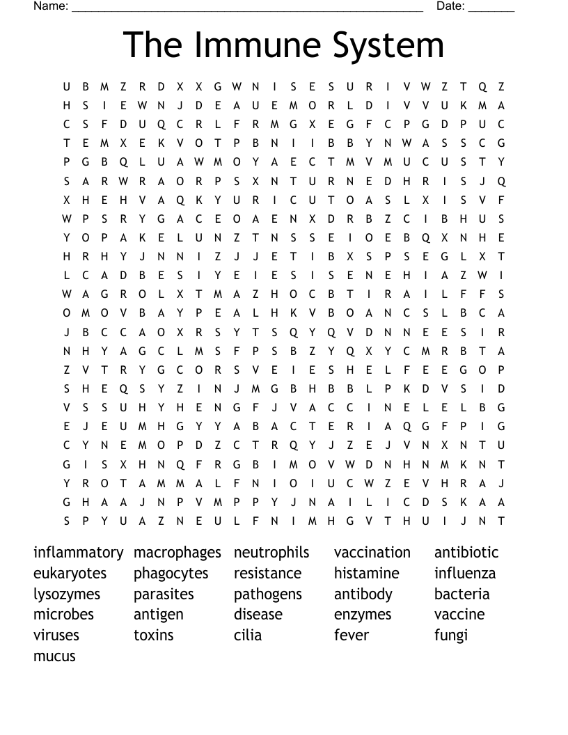 The Immune System Word Search