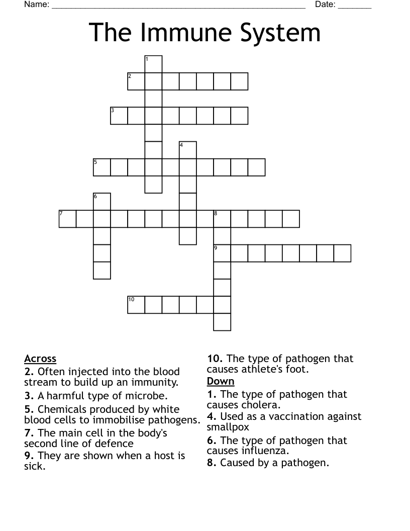 The Immune System Crossword