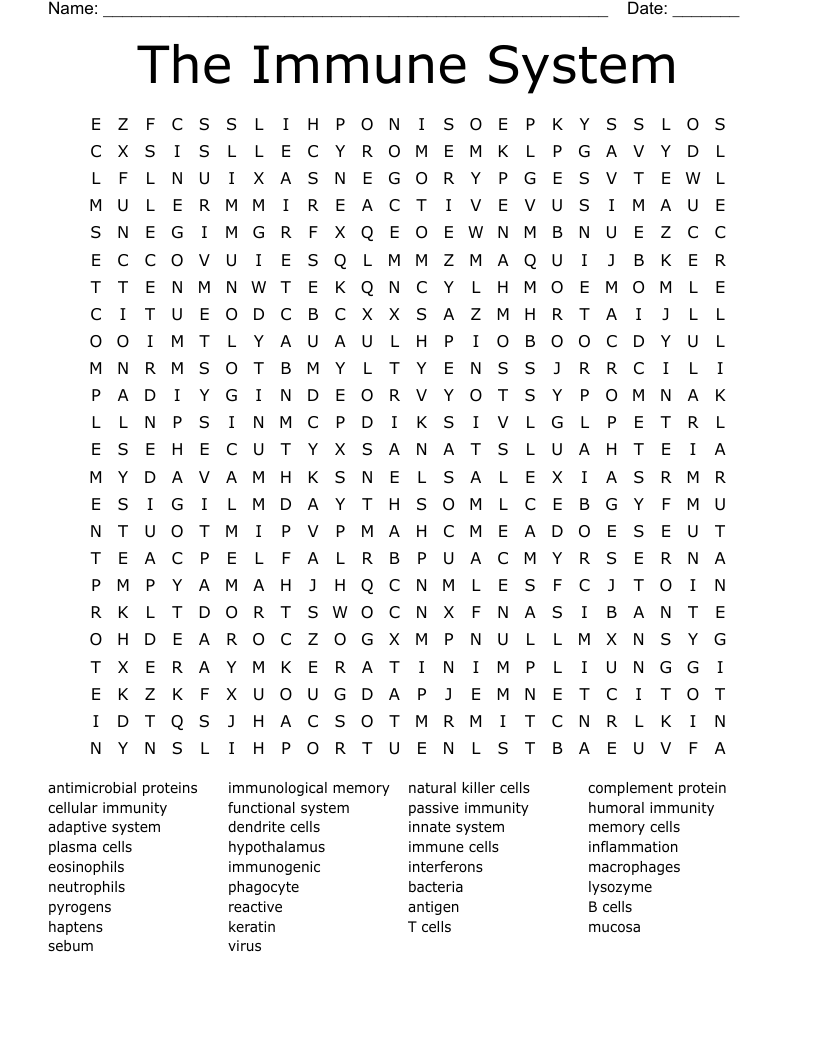 The Immune System Word Search