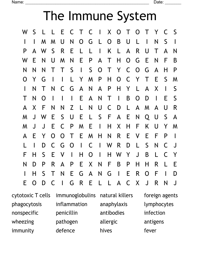 The Immune System Word Search
