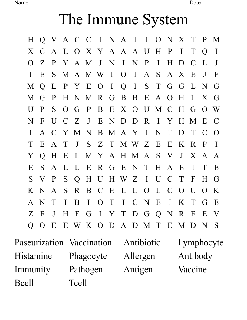The Immune System Word Search