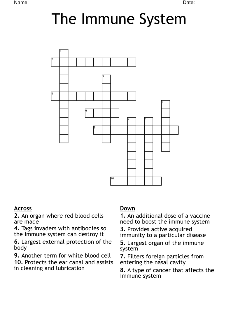 The Immune System Crossword