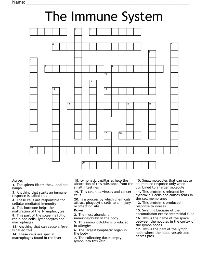 The Immune System Crossword