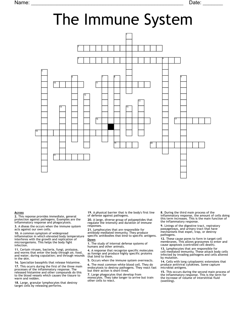 The Immune System Crossword