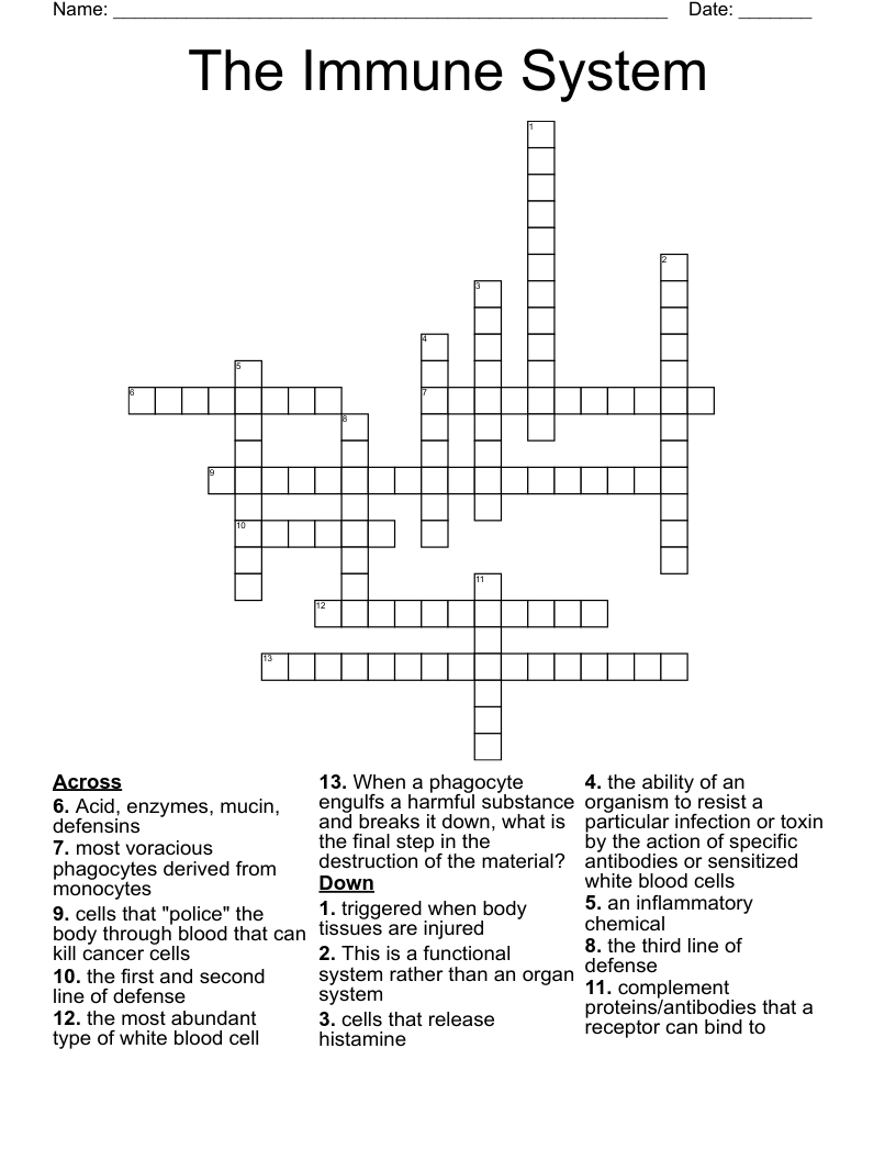 The Immune System Crossword