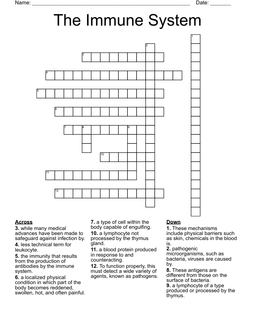 The Immune System Crossword