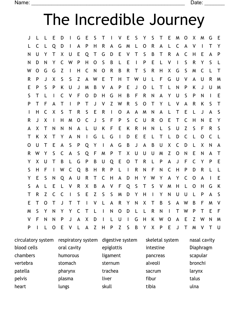 The Incredible Journey Word Search
