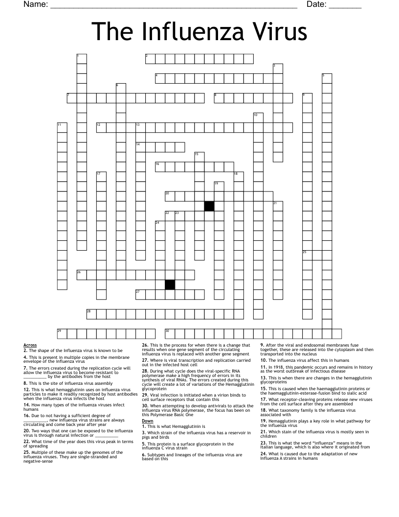 The Influenza Virus Crossword