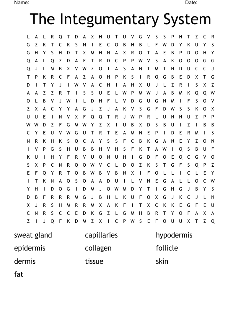 The Integumentary System Word Search
