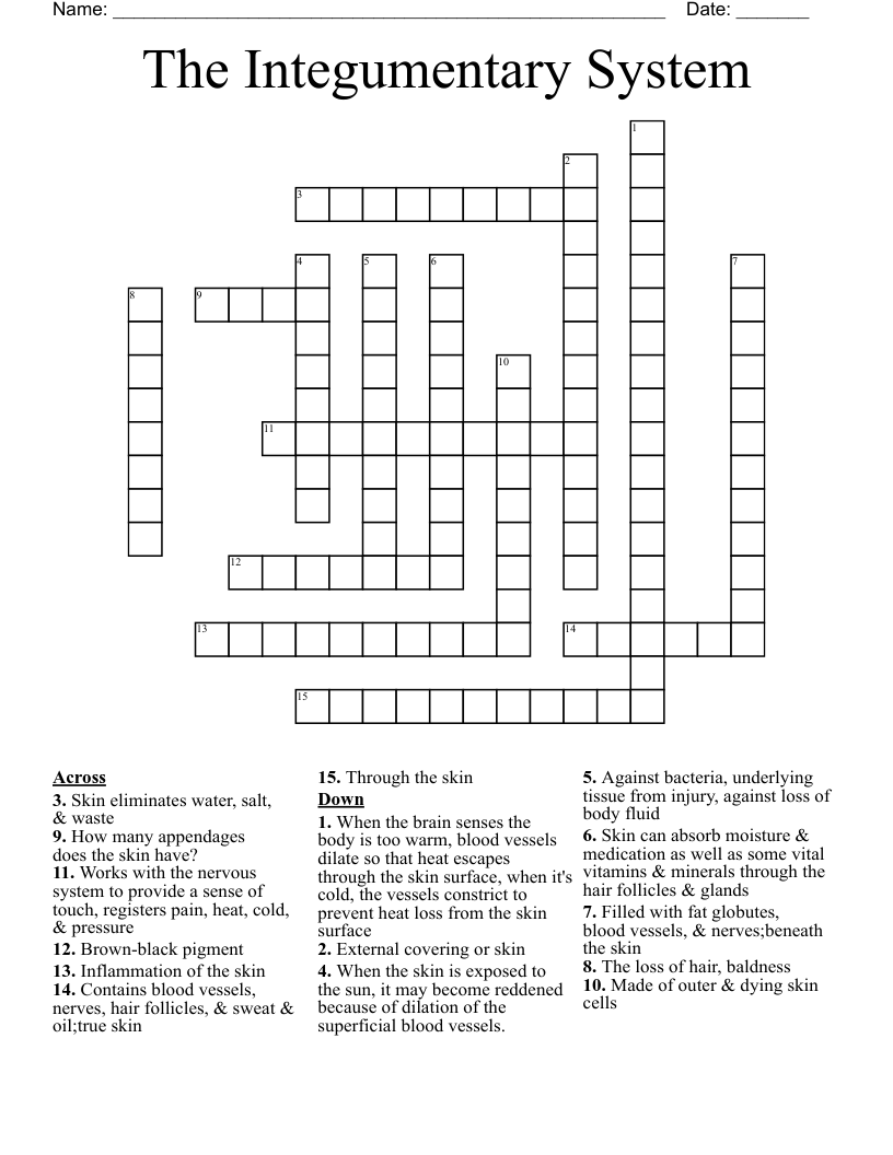 The Integumentary System Crossword