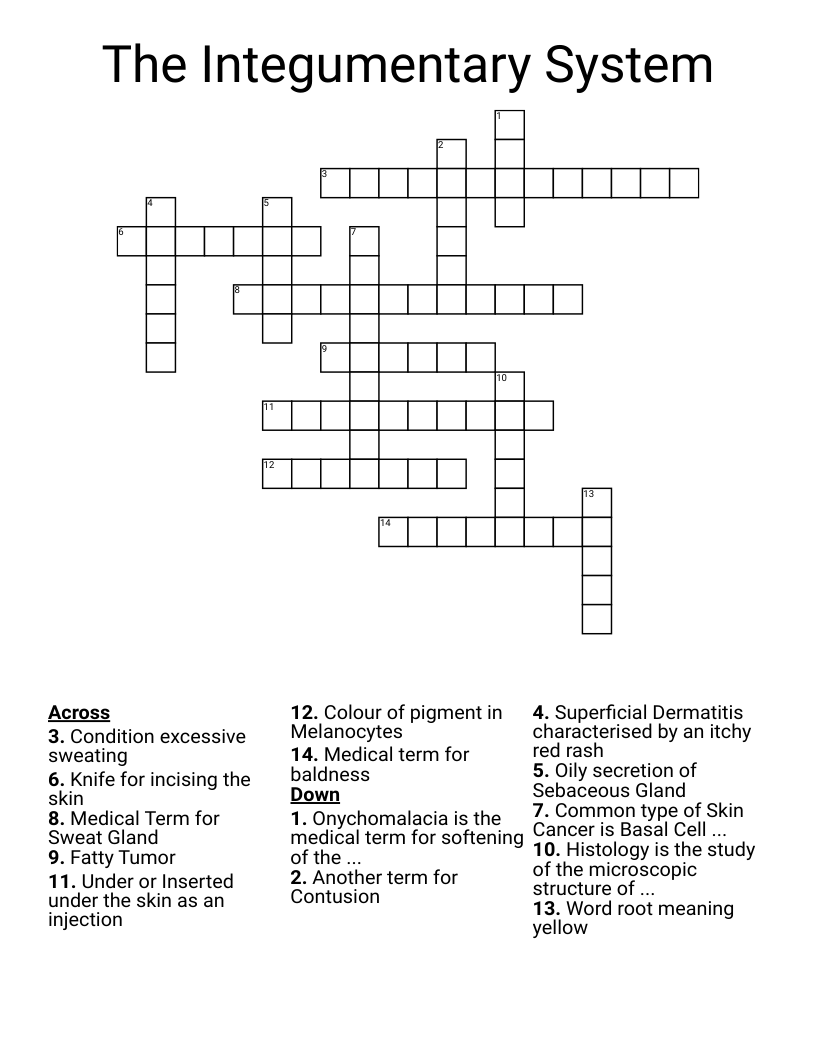 The Integumentary System Crossword