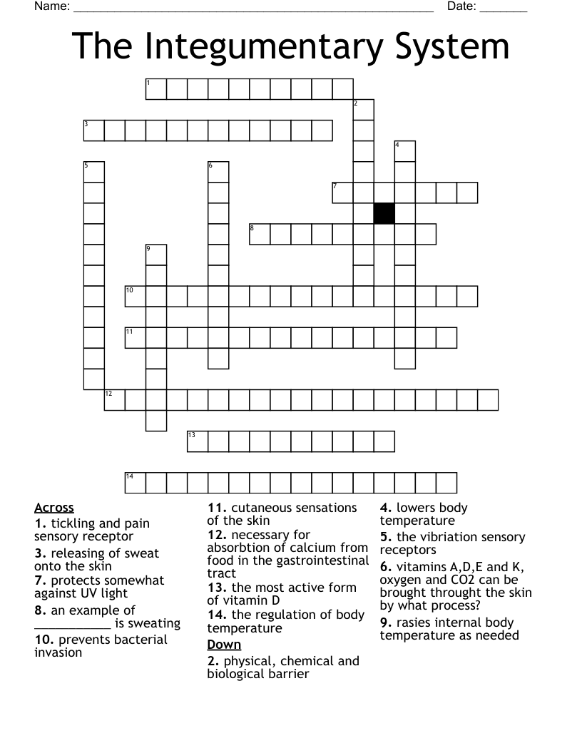 The Integumentary System Crossword