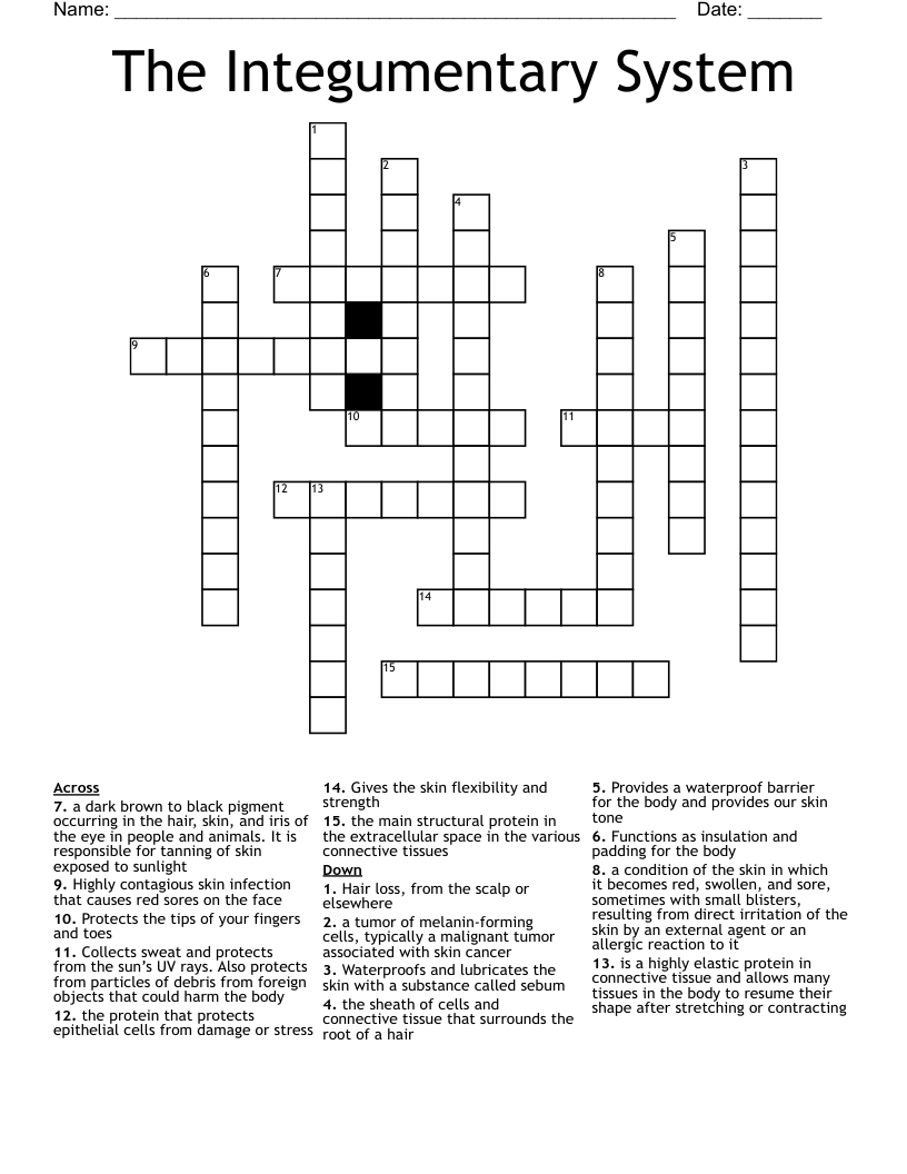 The Integumentary System Crossword