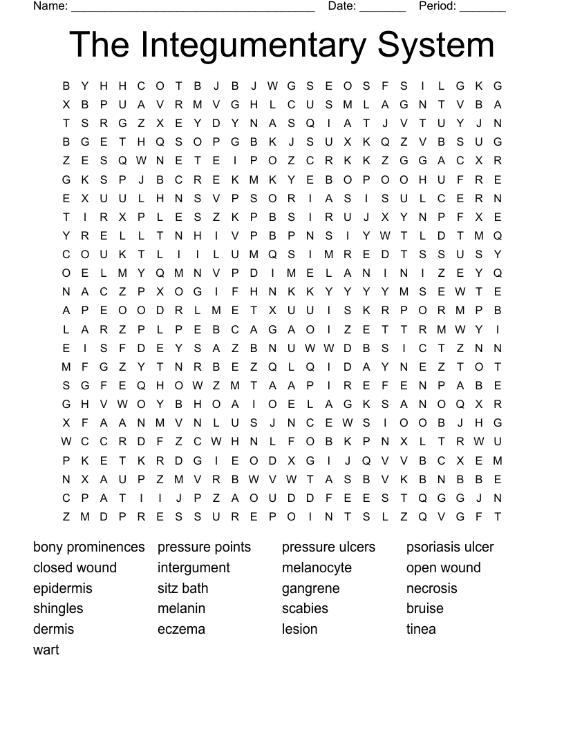 The Integumentary System Word Search
