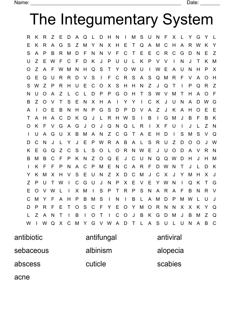The Integumentary System Word Search