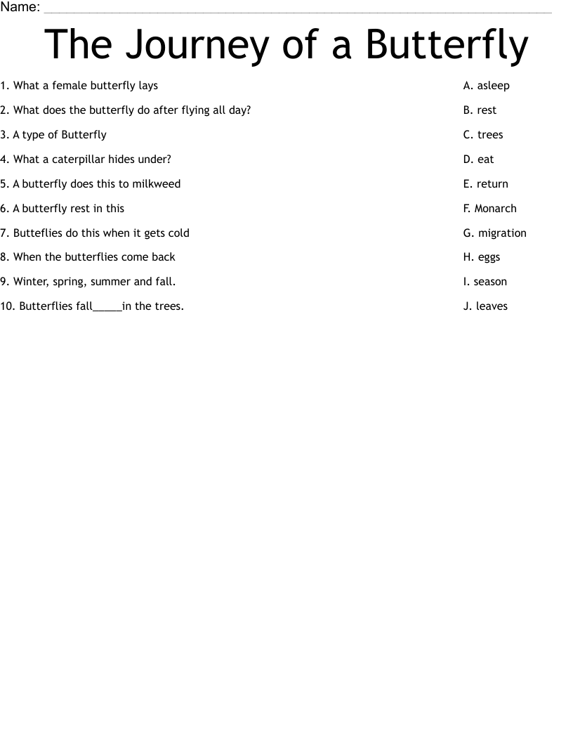 The Journey of a Butterfly Worksheet
